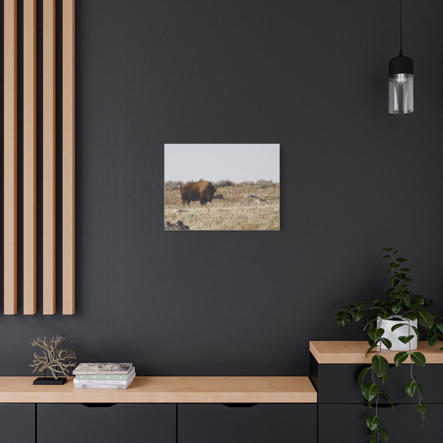 Bison Canvas