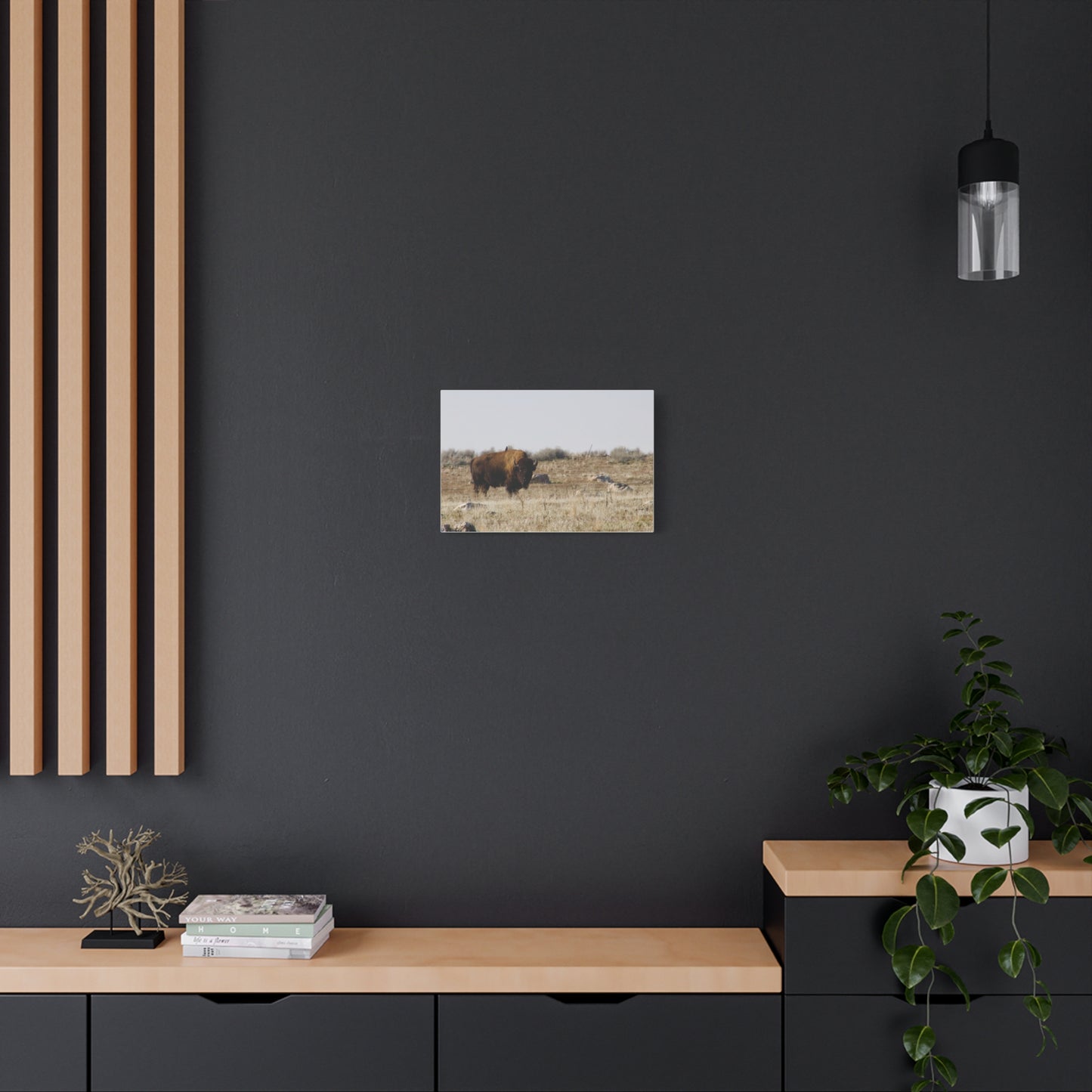 Bison Canvas
