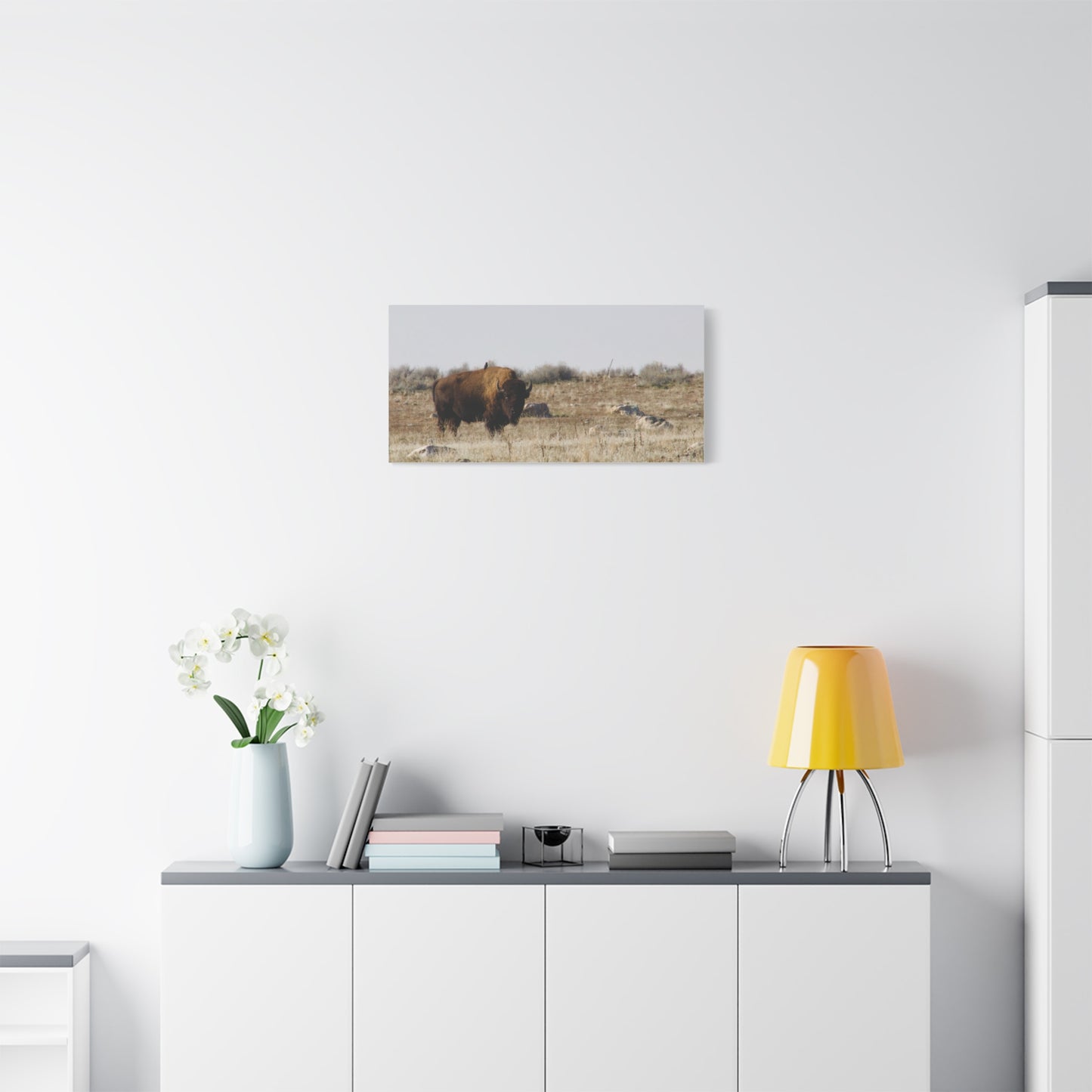 Bison Canvas
