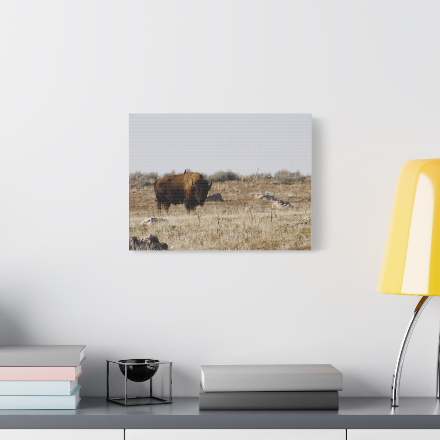 Bison Canvas