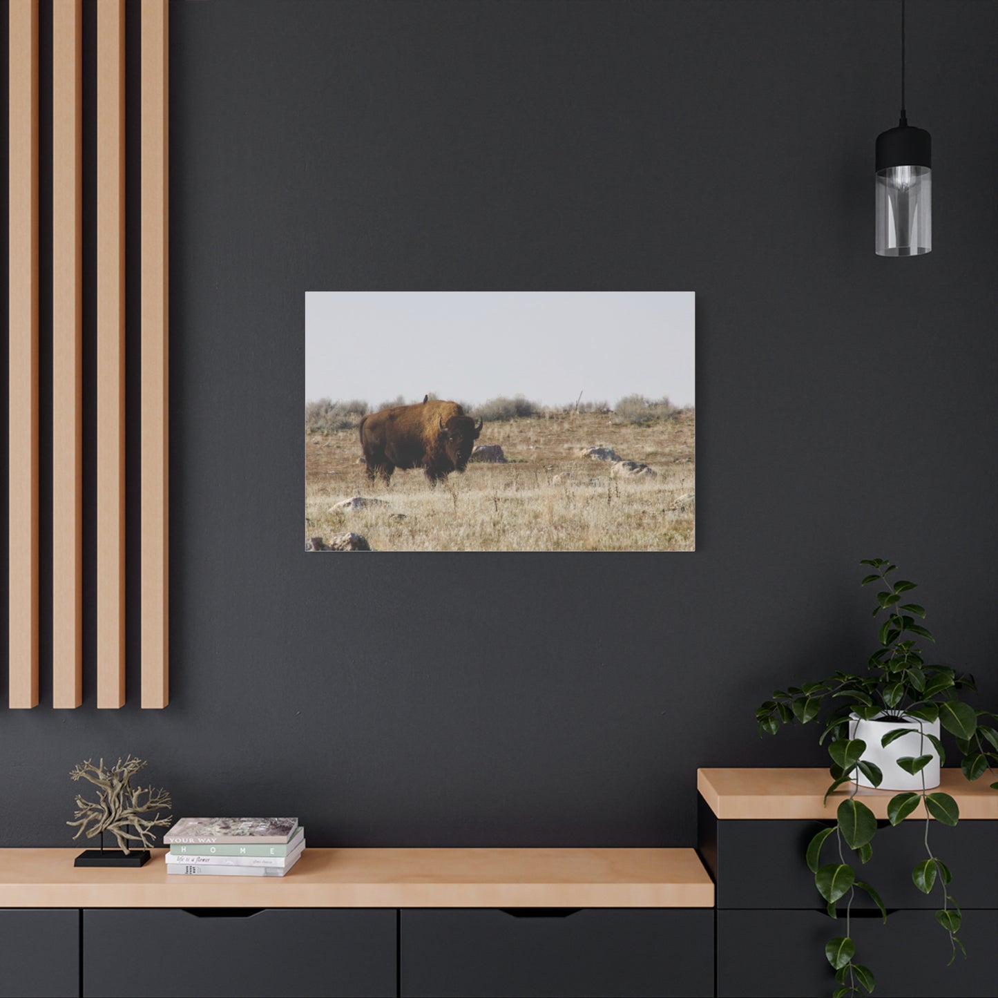 Bison Canvas
