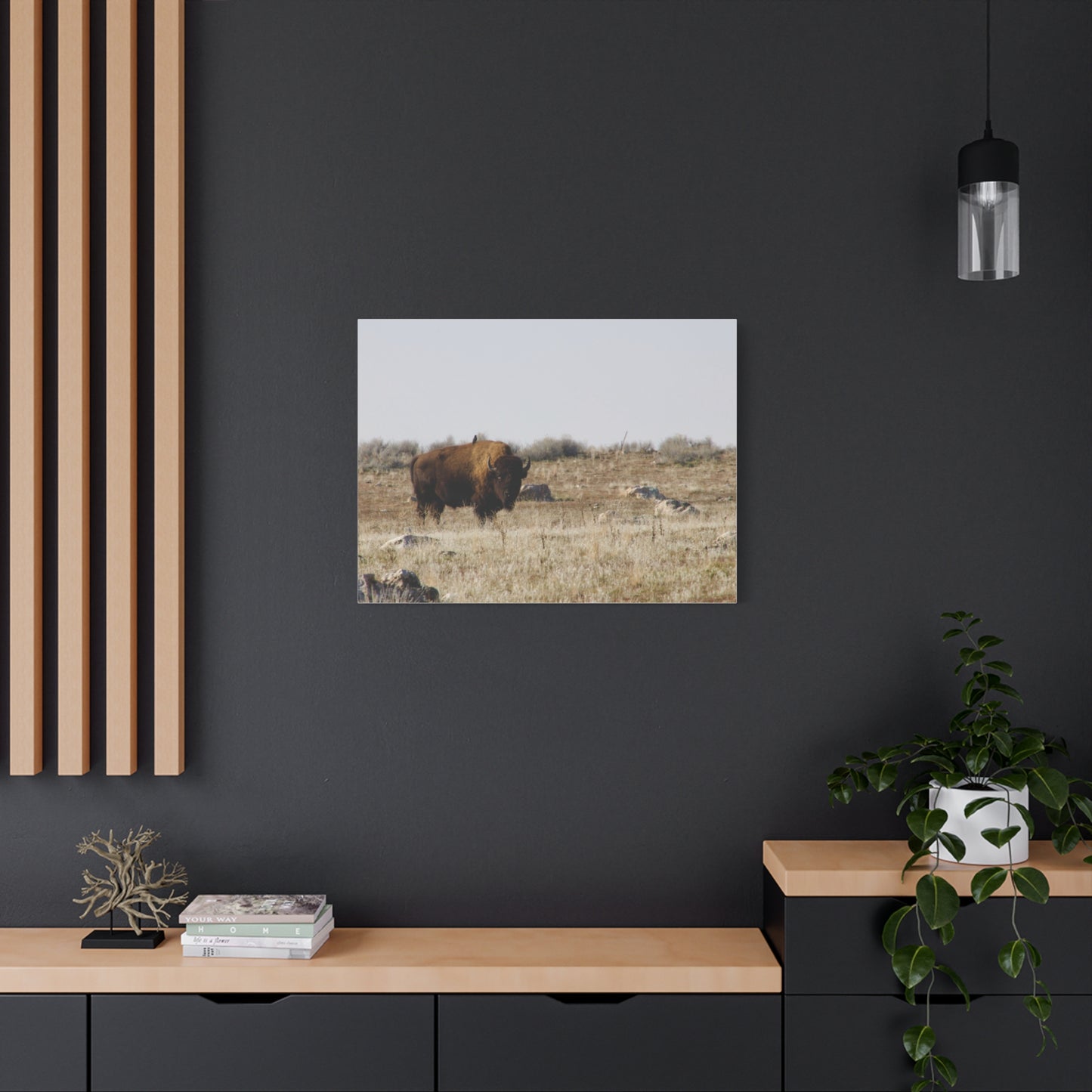 Bison Canvas