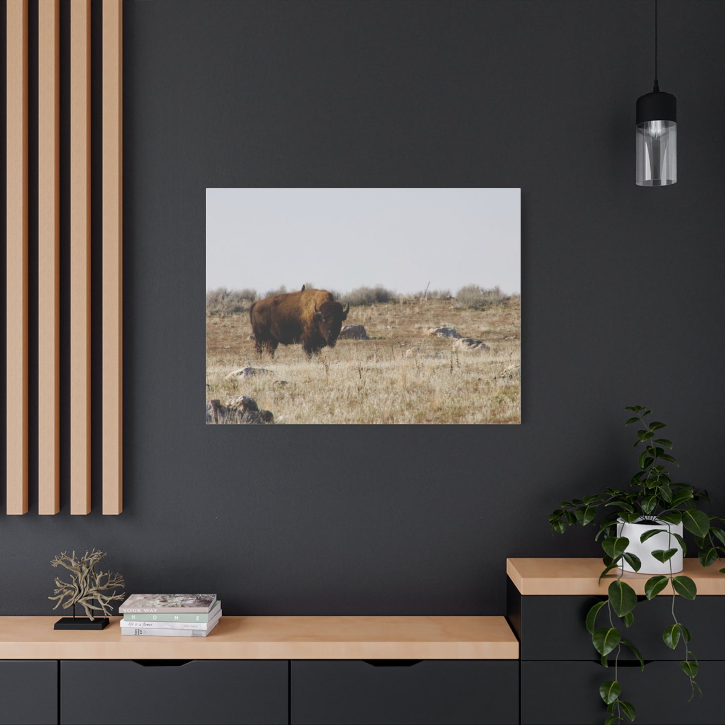Bison Canvas