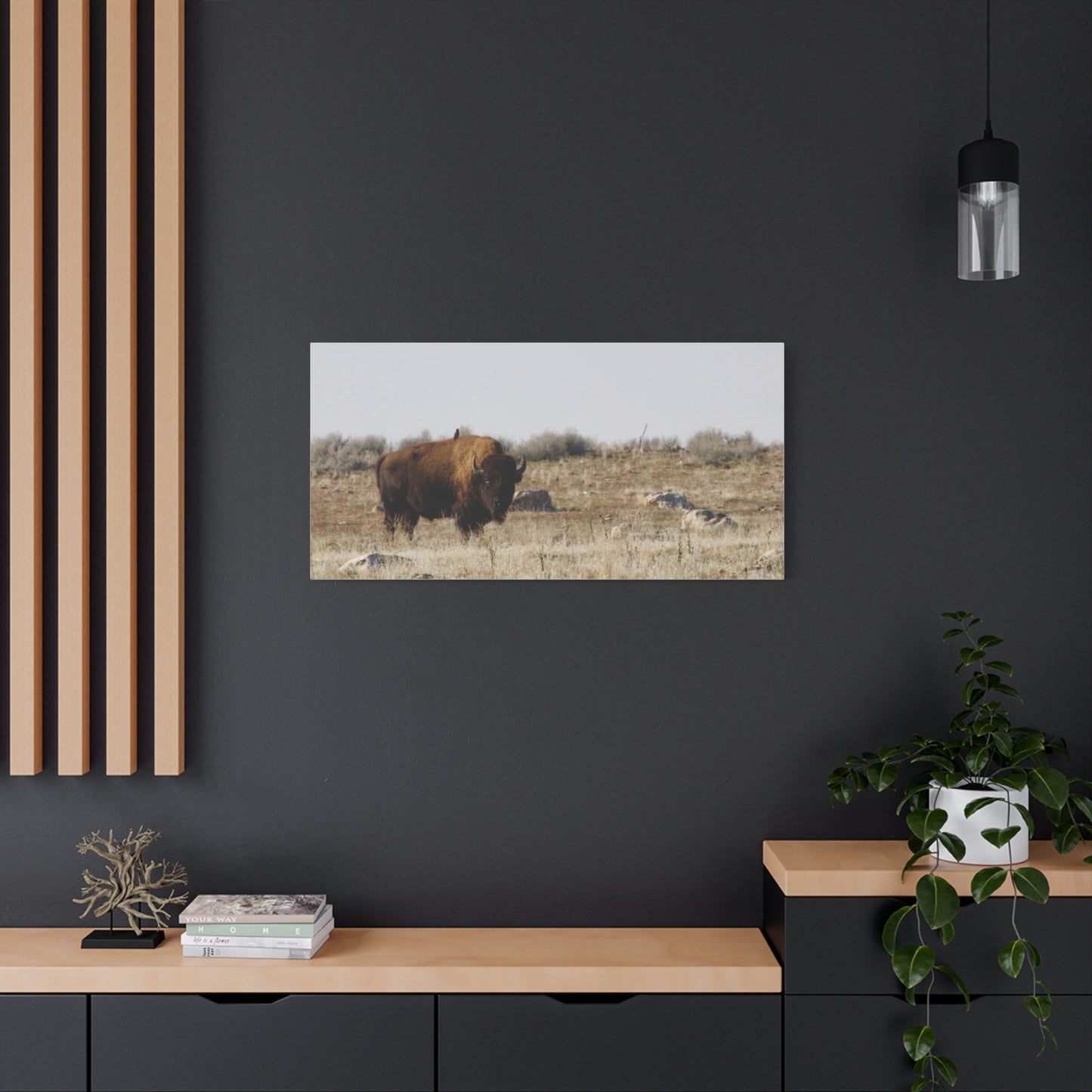 Bison Canvas