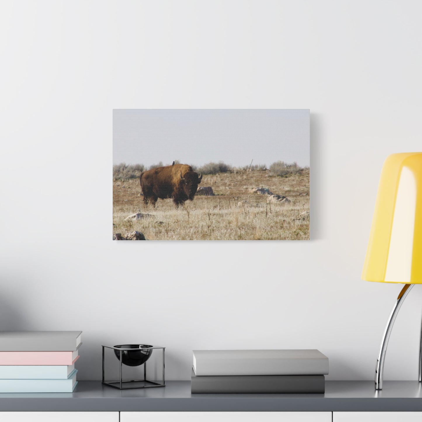 Bison Canvas