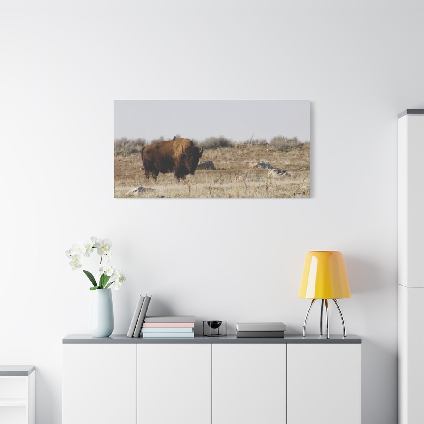 Bison Canvas