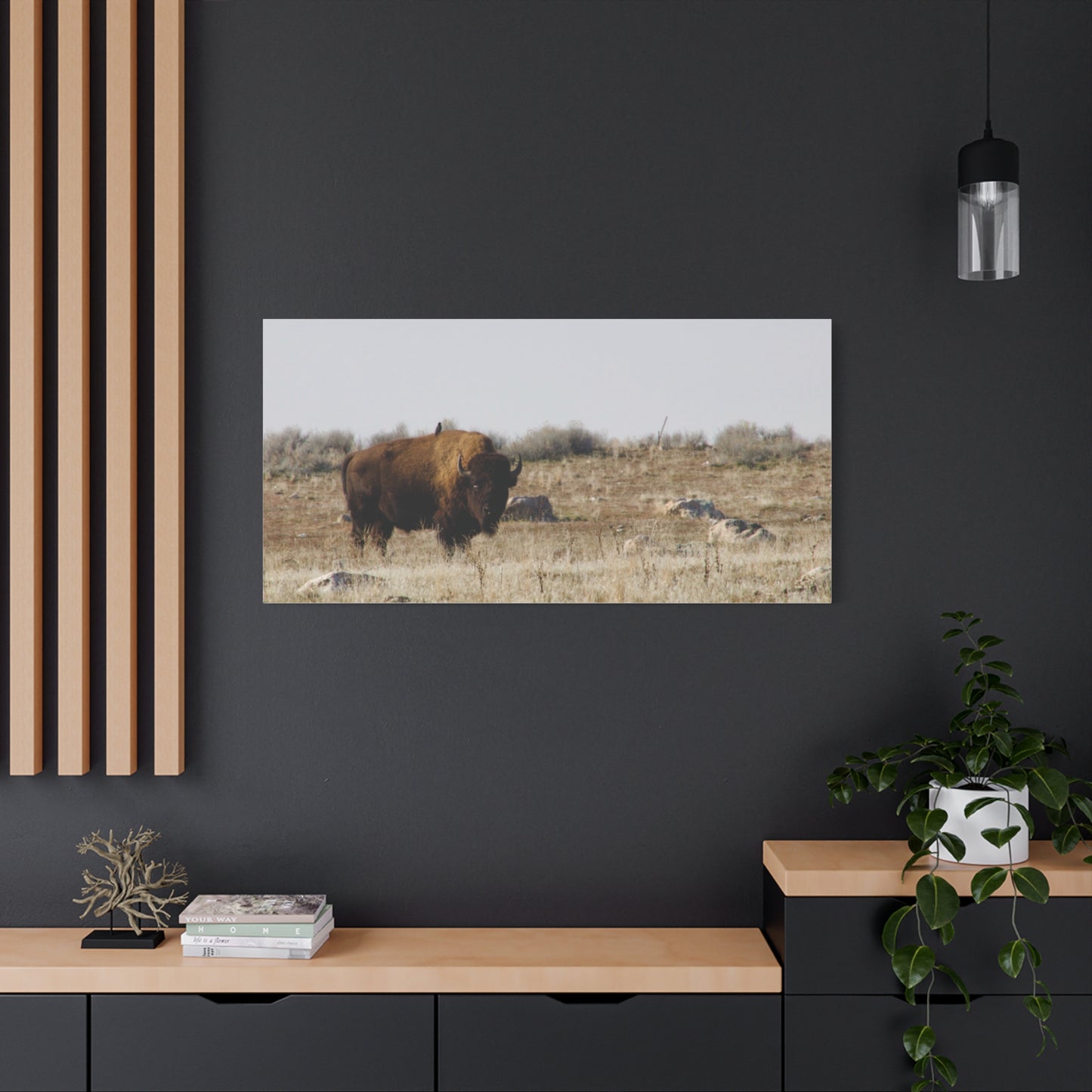 Bison Canvas