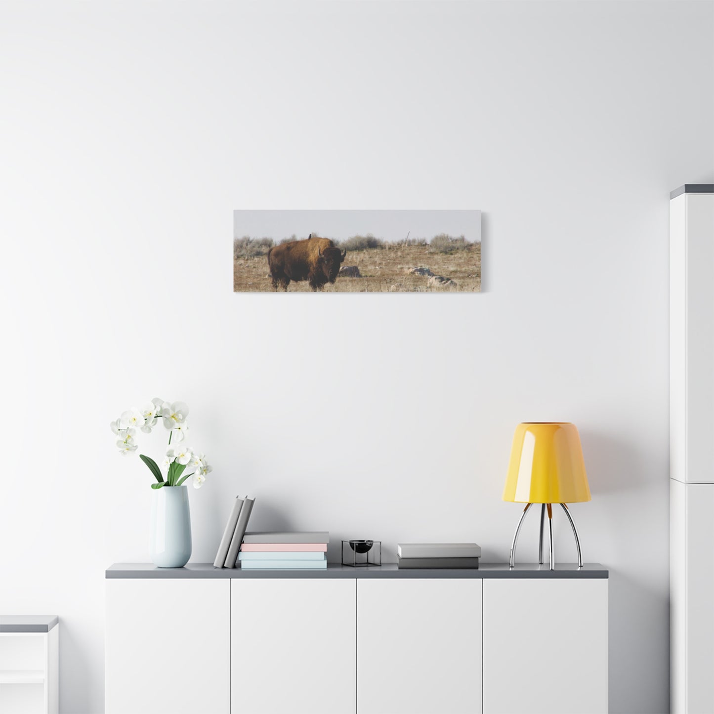 Bison Canvas