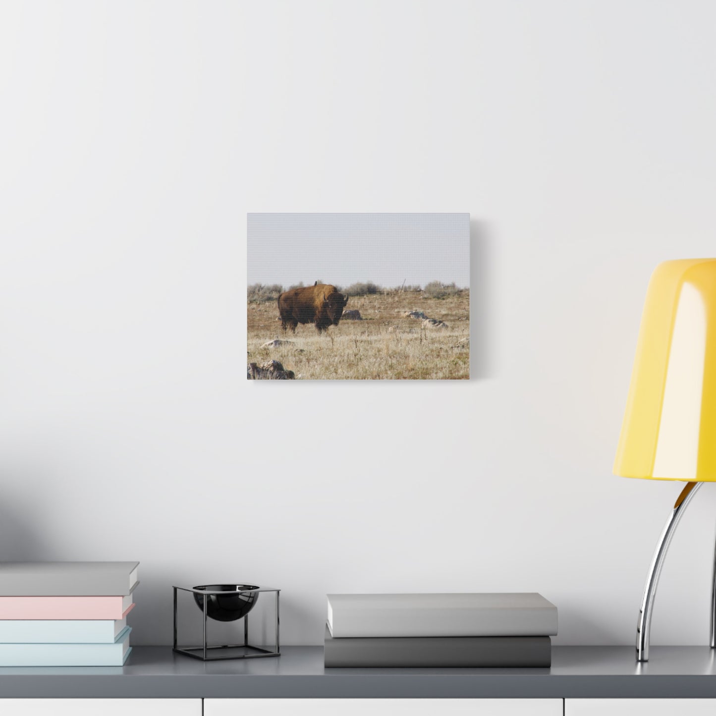 Bison Canvas