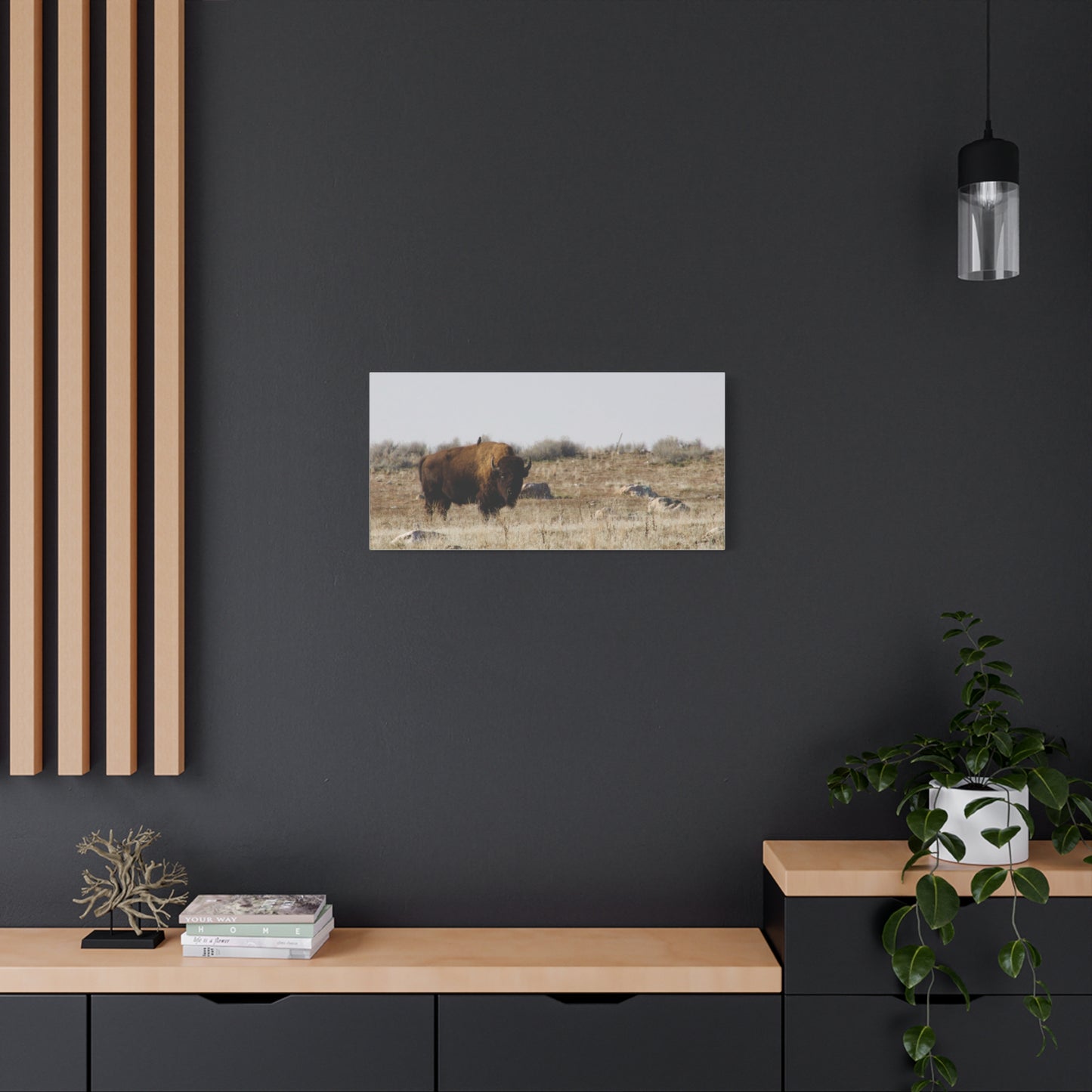 Bison Canvas