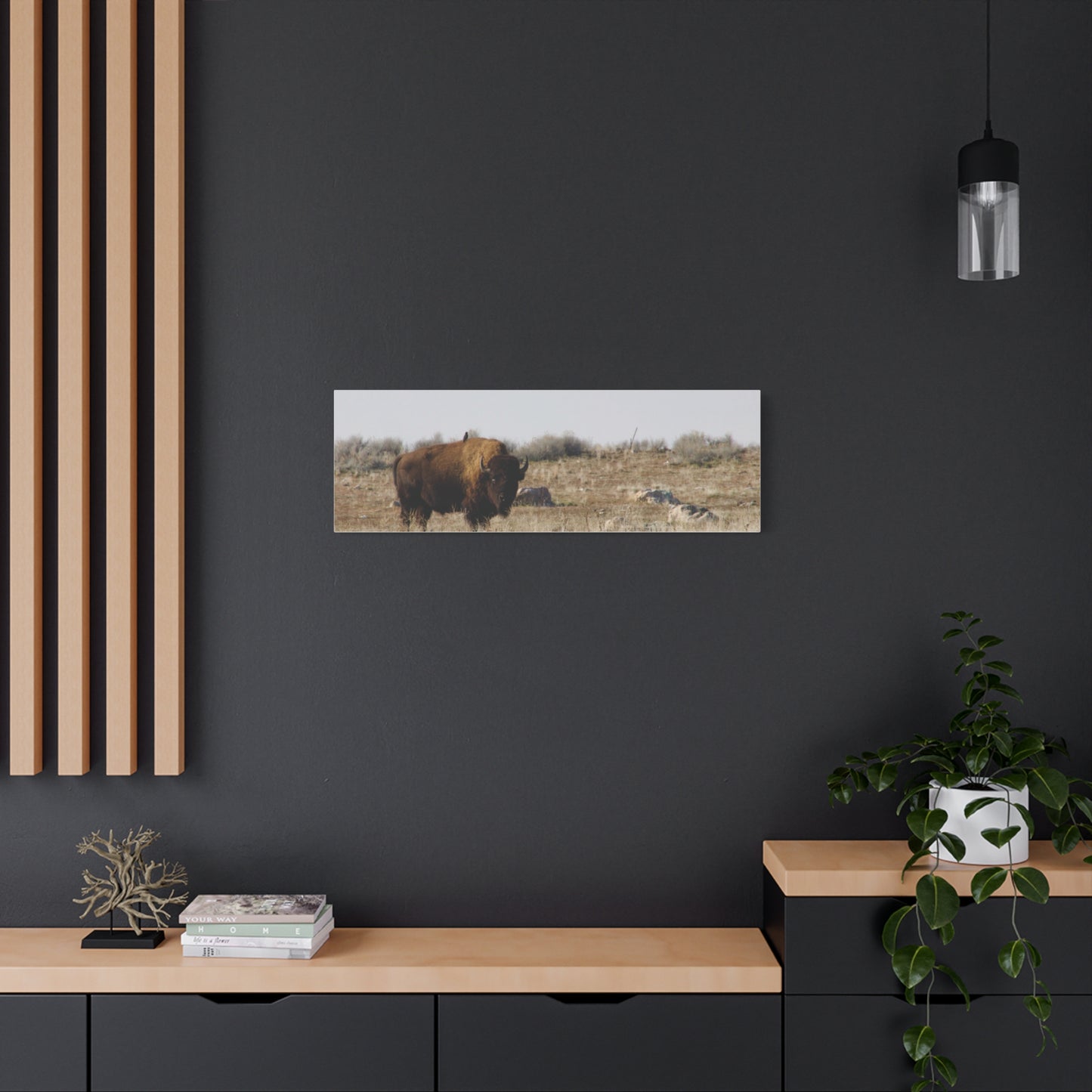 Bison Canvas