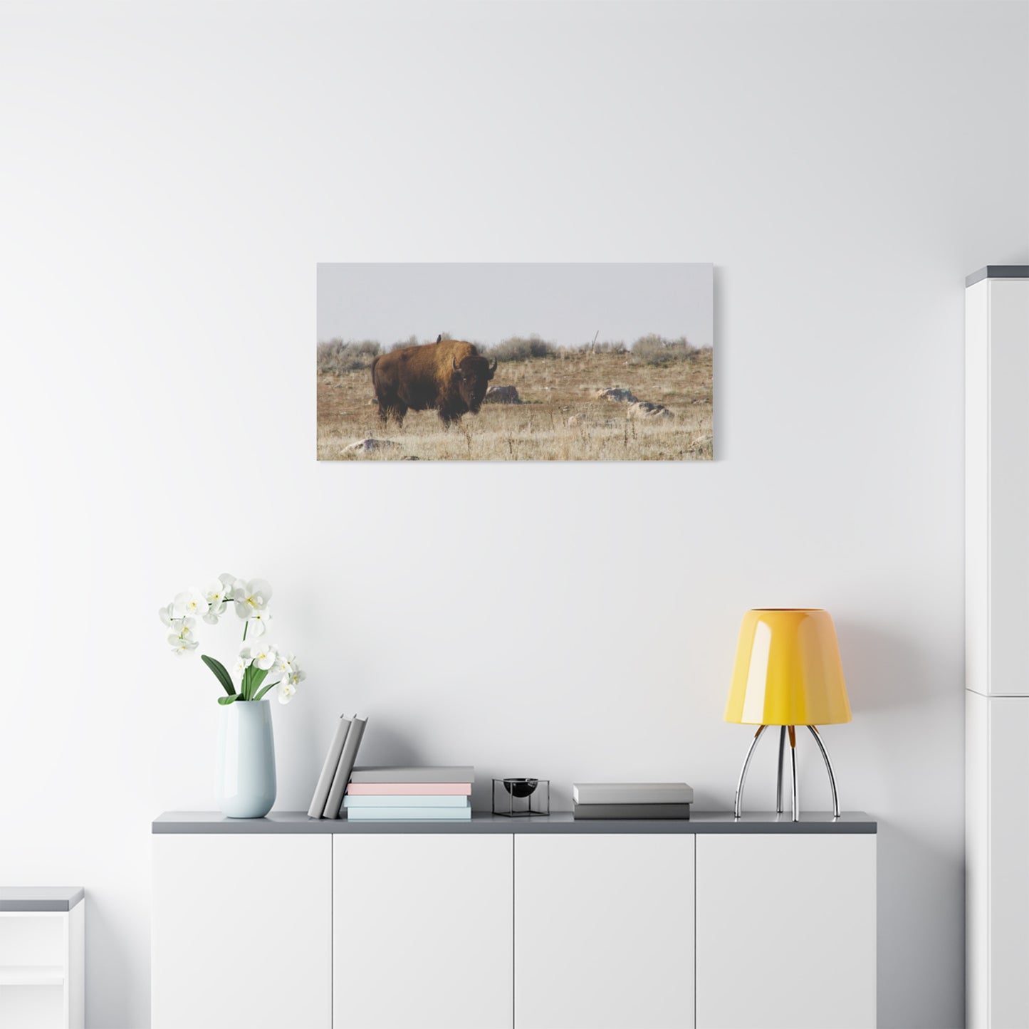 Bison Canvas