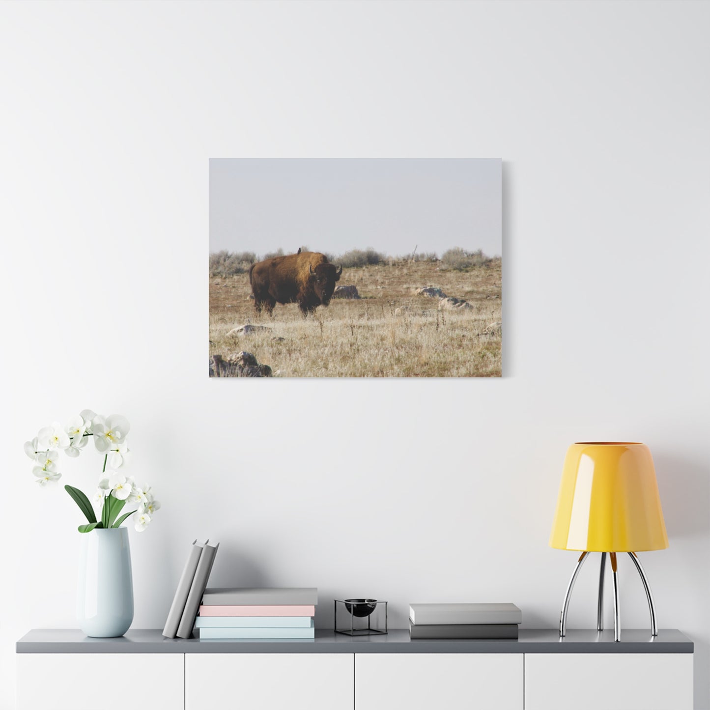 Bison Canvas