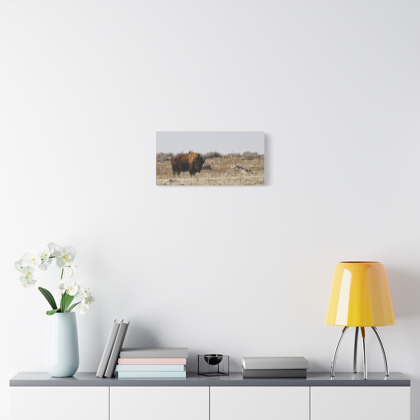 Bison Canvas