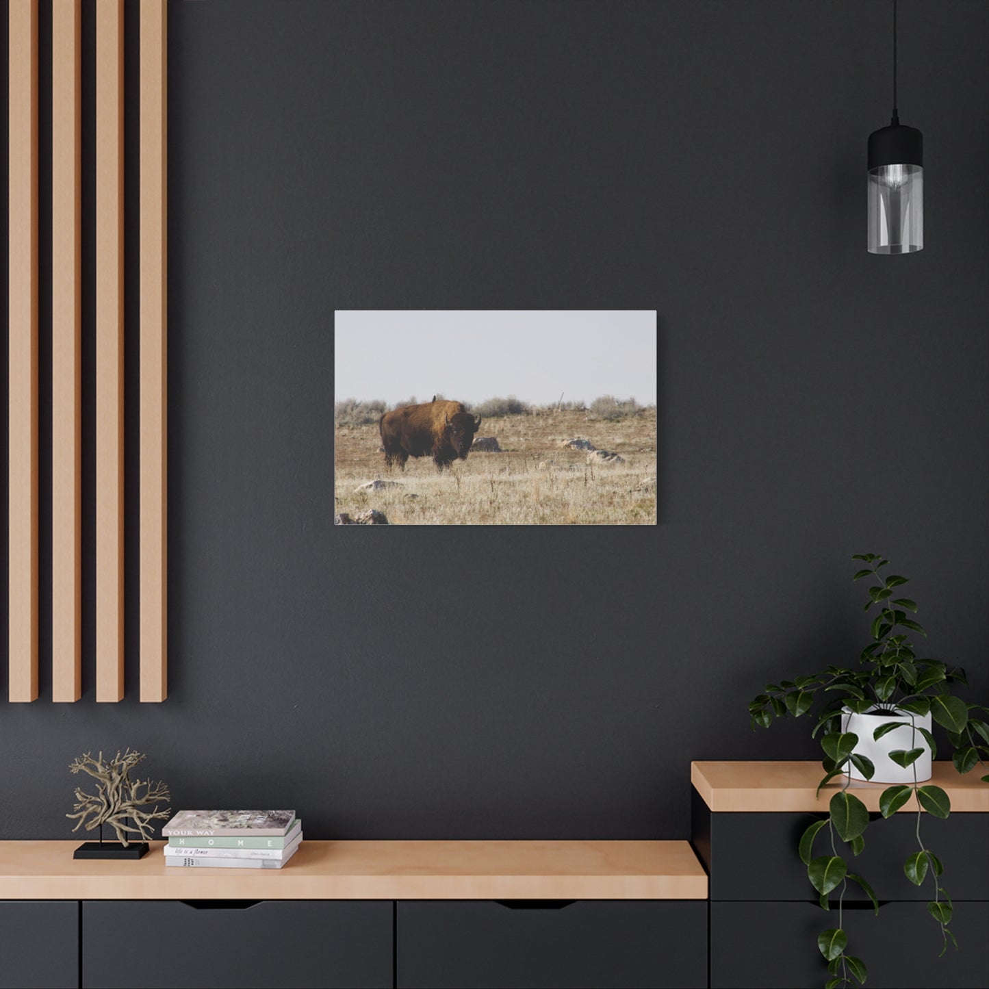 Bison Canvas